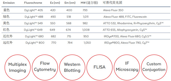 DyLight系列熒光光譜范圍及適用的實驗類型
