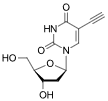 EdU（5-乙炔基-2'-脫氧尿苷）