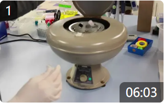 如何在運行試劑盒之前處理各種樣品 - Arbor Assays