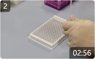 用于類固醇測定的小體積尾部出血樣品的制備 - Arbor Assays