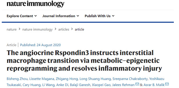 5hmC-羥化酶TET活性/抑制分析試劑盒 nature