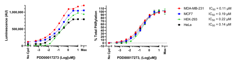 PARG抑制劑PDD00017273對不同細胞系中H2O2誘導(dǎo)的蛋白質(zhì)PAR化的影響