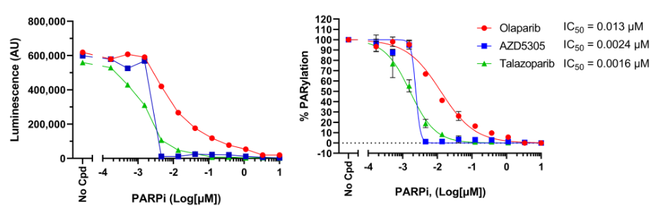 PARP抑制劑對HEK 293細胞中H2O2