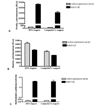 使用兩步熒光素酶(Firefly&Renila)檢測(cè)系統(tǒng)和另一種市售熒光素酶試劑測(cè)量熒光素酶活性