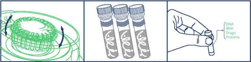 Precellys 24Touch組織研磨器操作步驟2