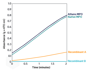 傳統(tǒng)來源的天然 MPO和 Athens MPO 具有相似的酶活性。
