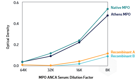 除了重組MPO，天然MPO和AthensMPO，對MPO自身抗體都具有高度反應(yīng)性