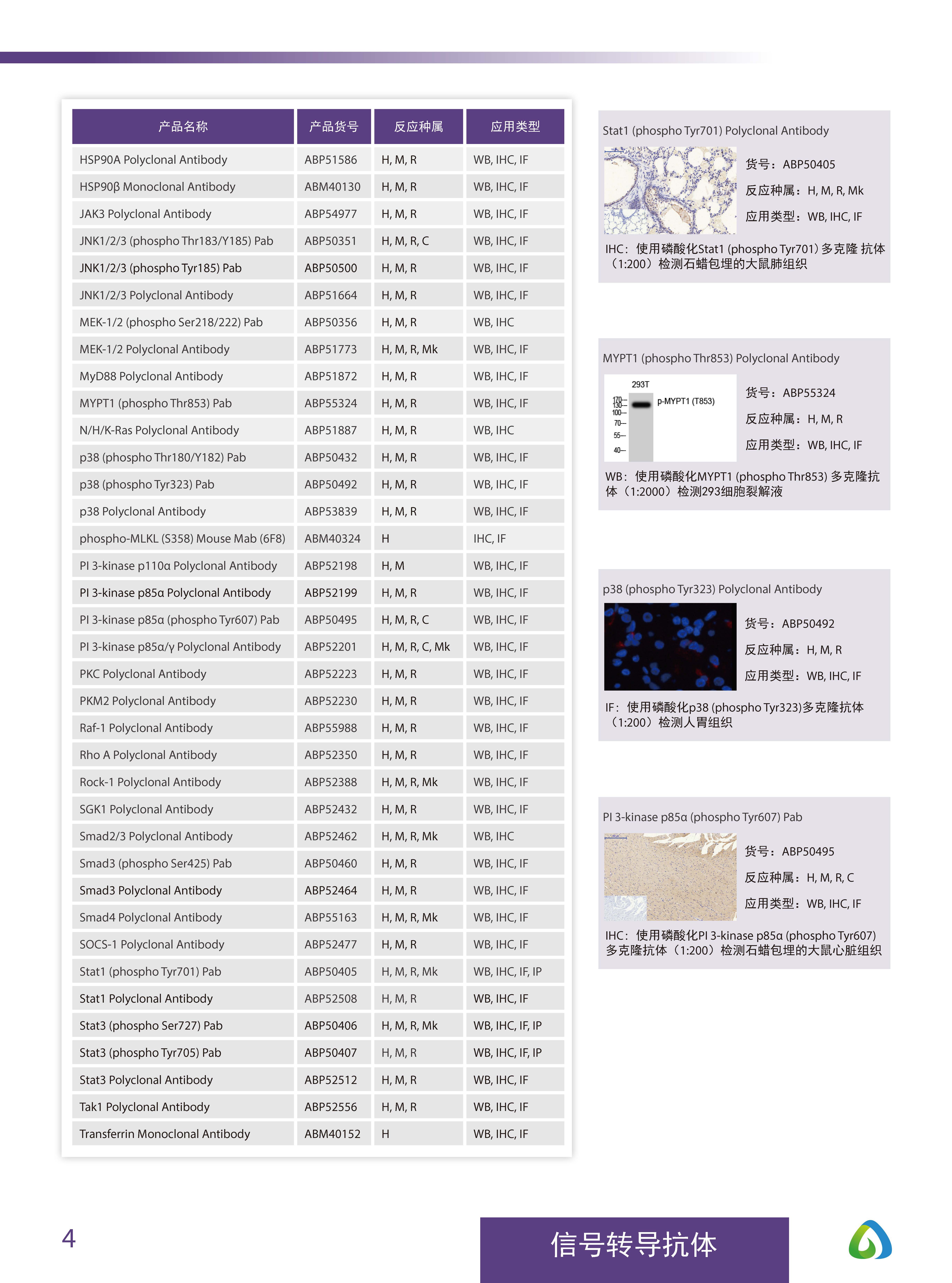 Abbkine“皇冠”抗體產(chǎn)品應(yīng)用手冊(cè)