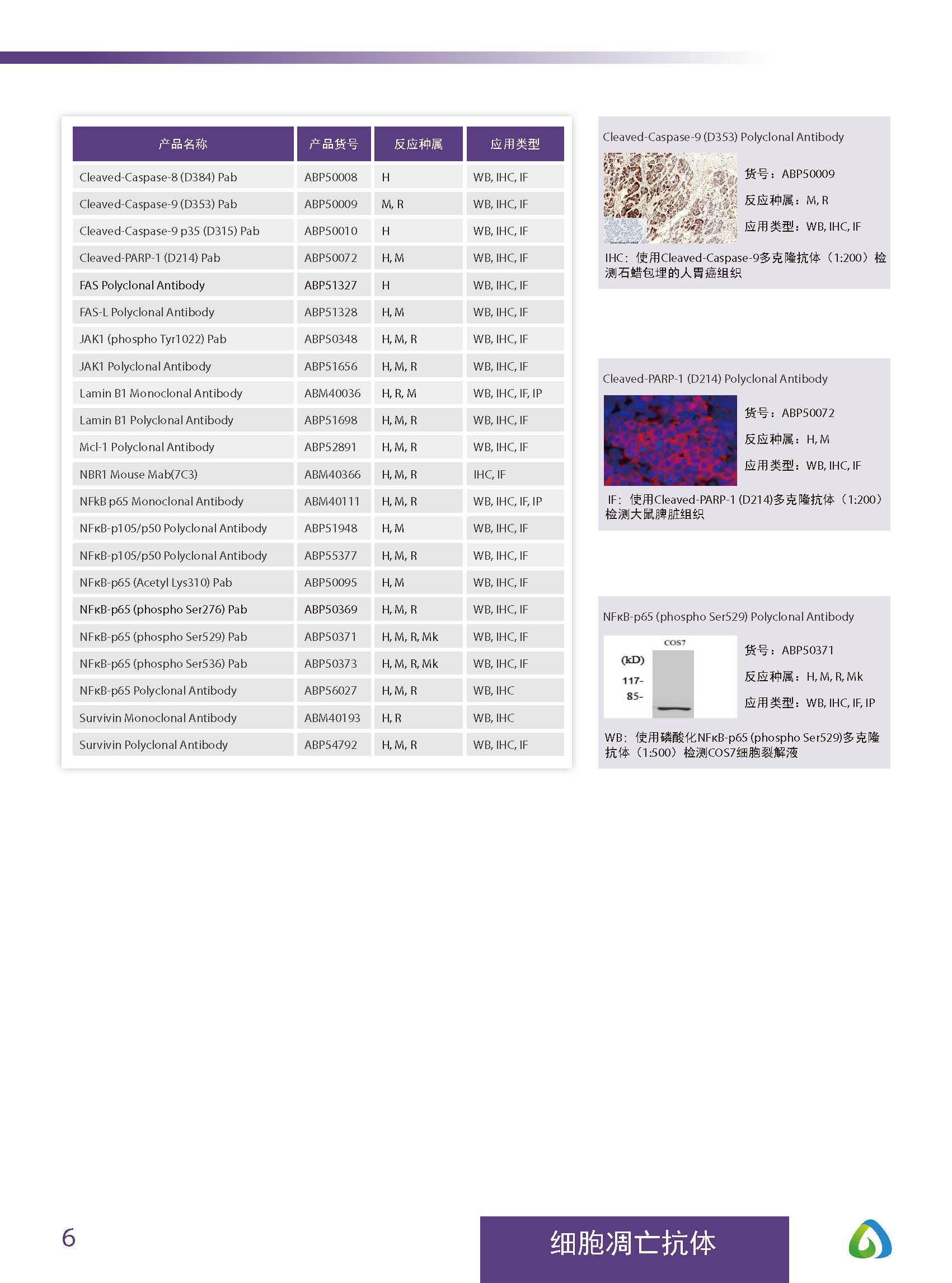 Abbkine“皇冠”抗體產(chǎn)品應(yīng)用手冊(cè)