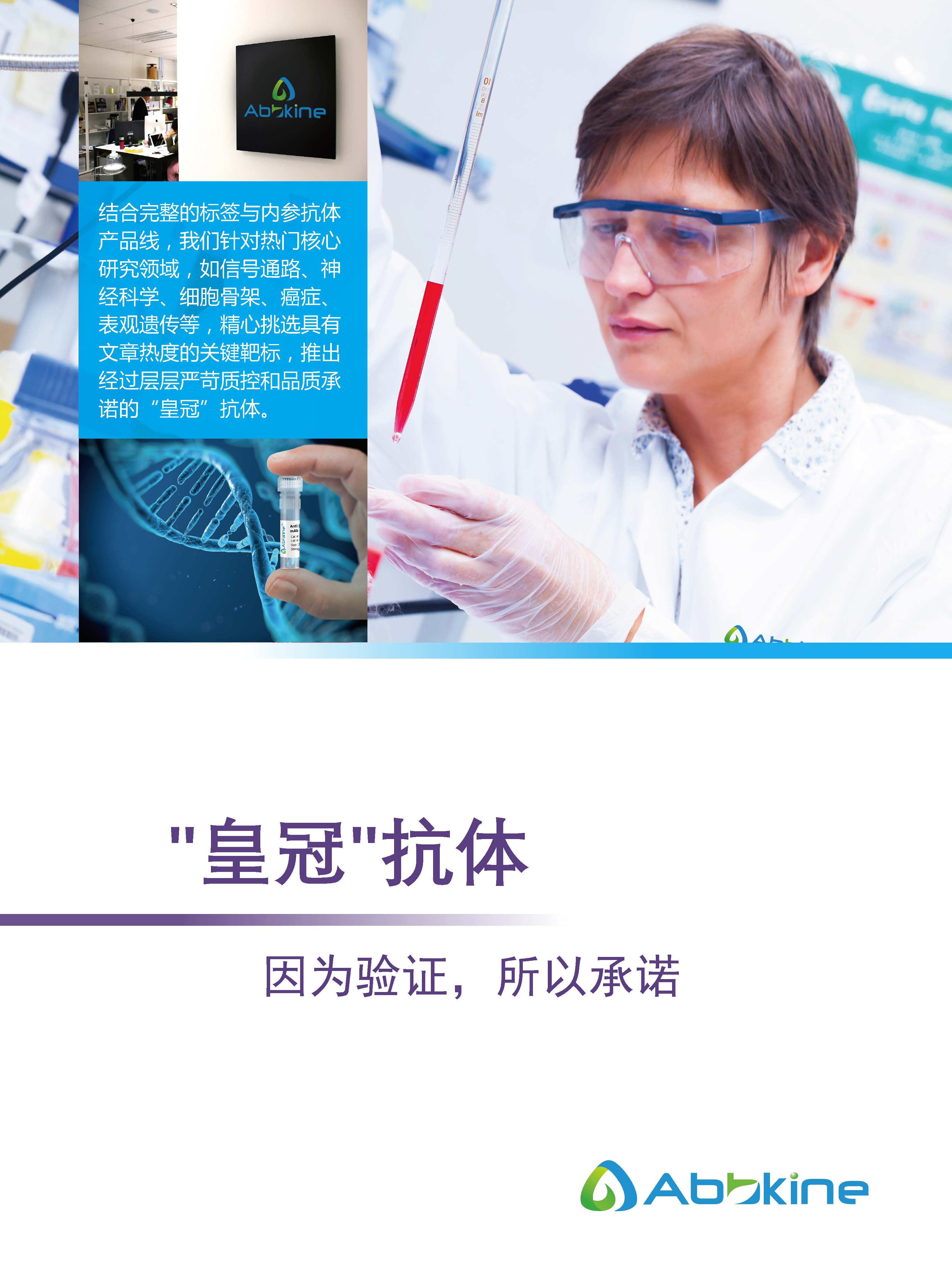 Abbkine“皇冠”抗體產(chǎn)品應(yīng)用手冊(cè)