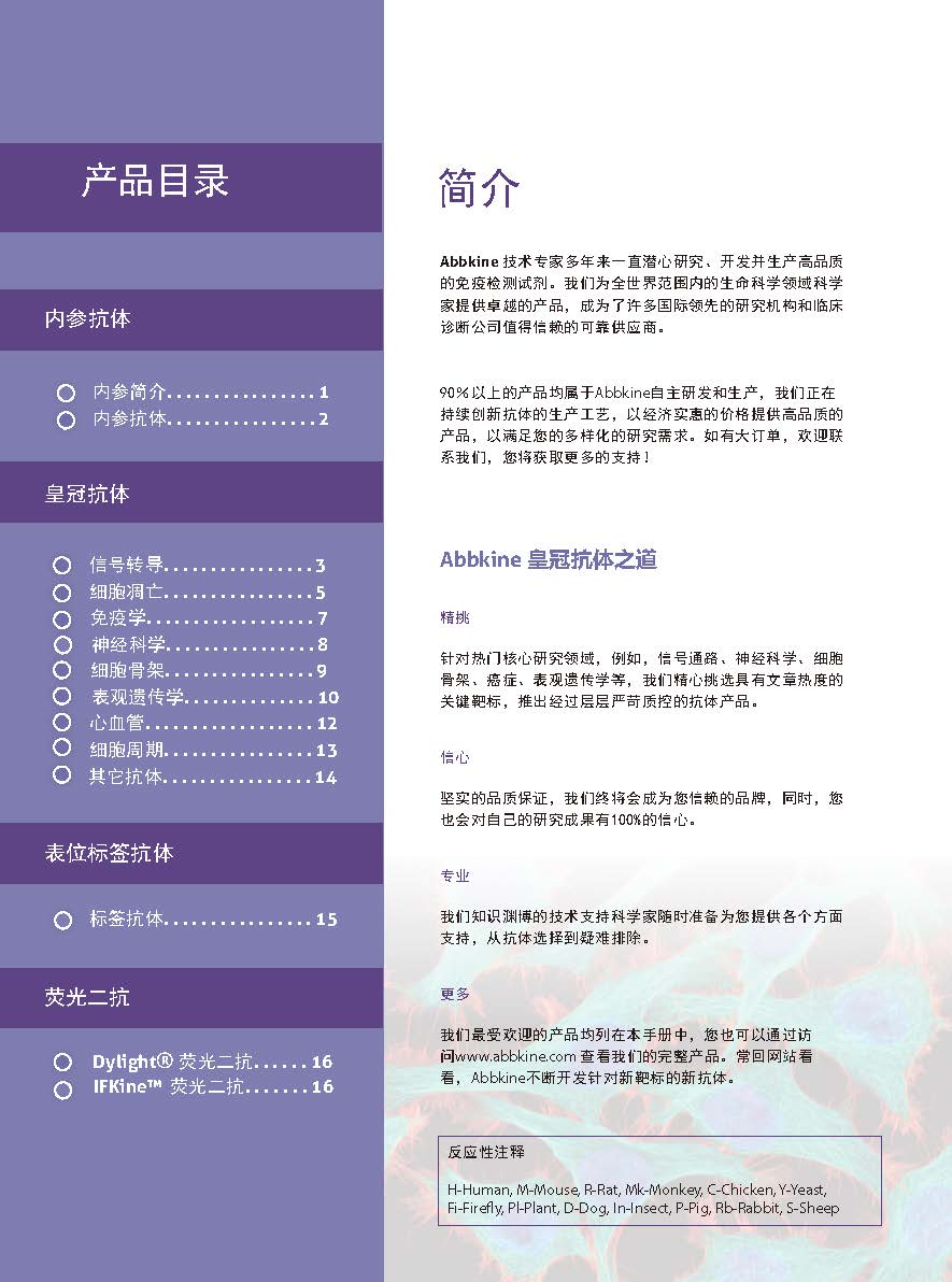 Abbkine“皇冠”抗體產(chǎn)品應(yīng)用手冊(cè)