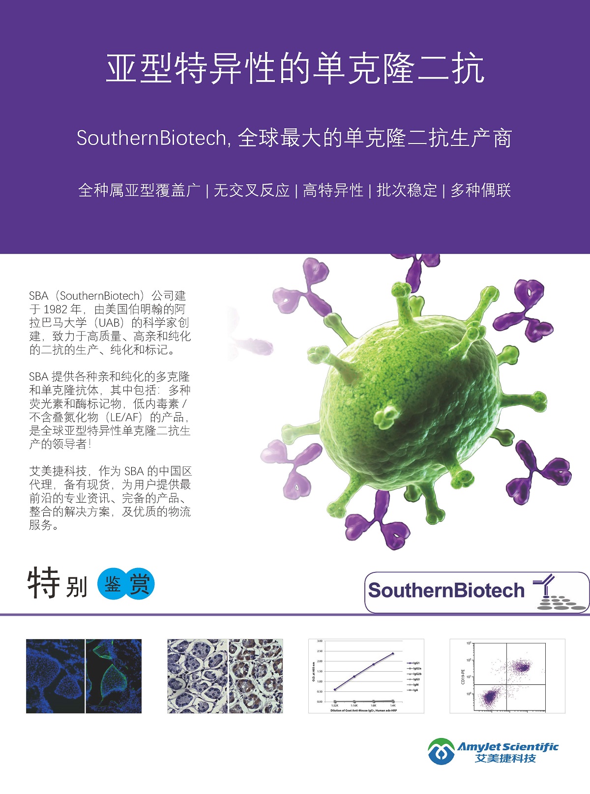 SouthernBiotech獸-禽類-細(xì)胞表面蛋白抗體單頁