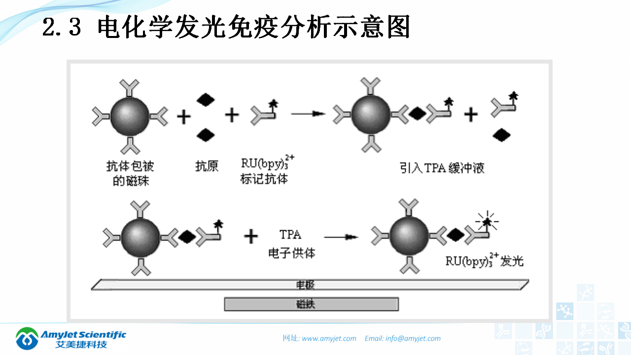 202003-體外診斷（IVD）試劑及市場淺析_21.png