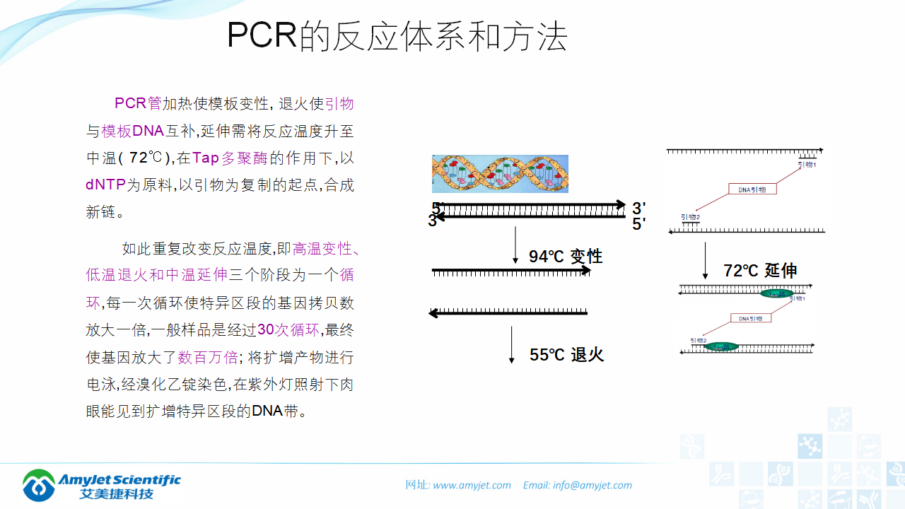 202006-PCR背景與解決方案_07.png