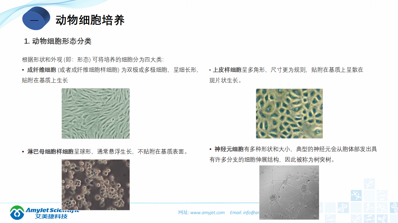 202006-細(xì)胞培養(yǎng)專題介紹_03.png