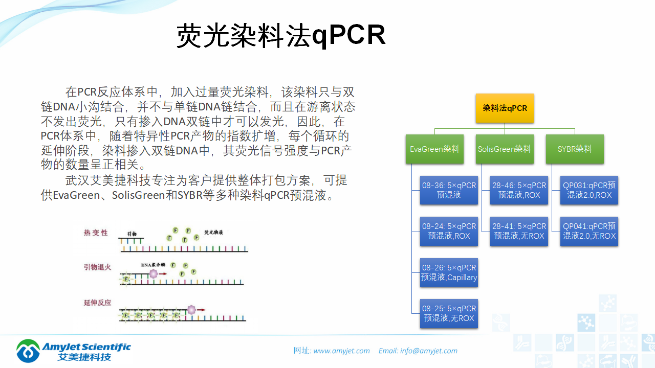 202006-PCR背景與解決方案_23.png