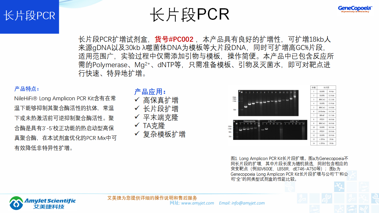 202006-PCR背景與解決方案_19.png