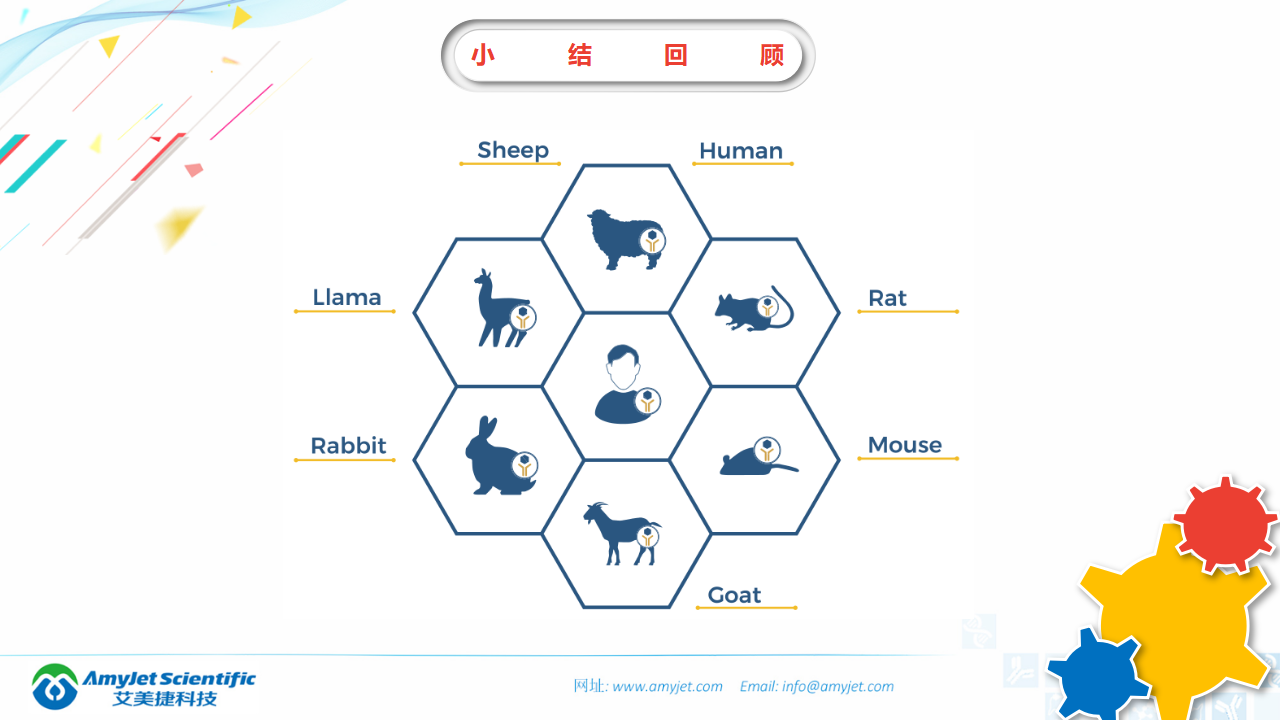 202006-IgM IgG抗體純化專家-LigaTrap品牌_08.png