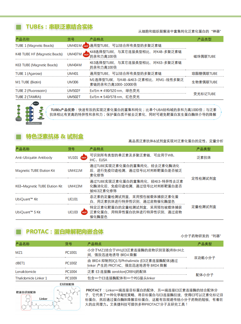 全套泛素研究解決方案-Lifesensors-折頁(yè)_02.png