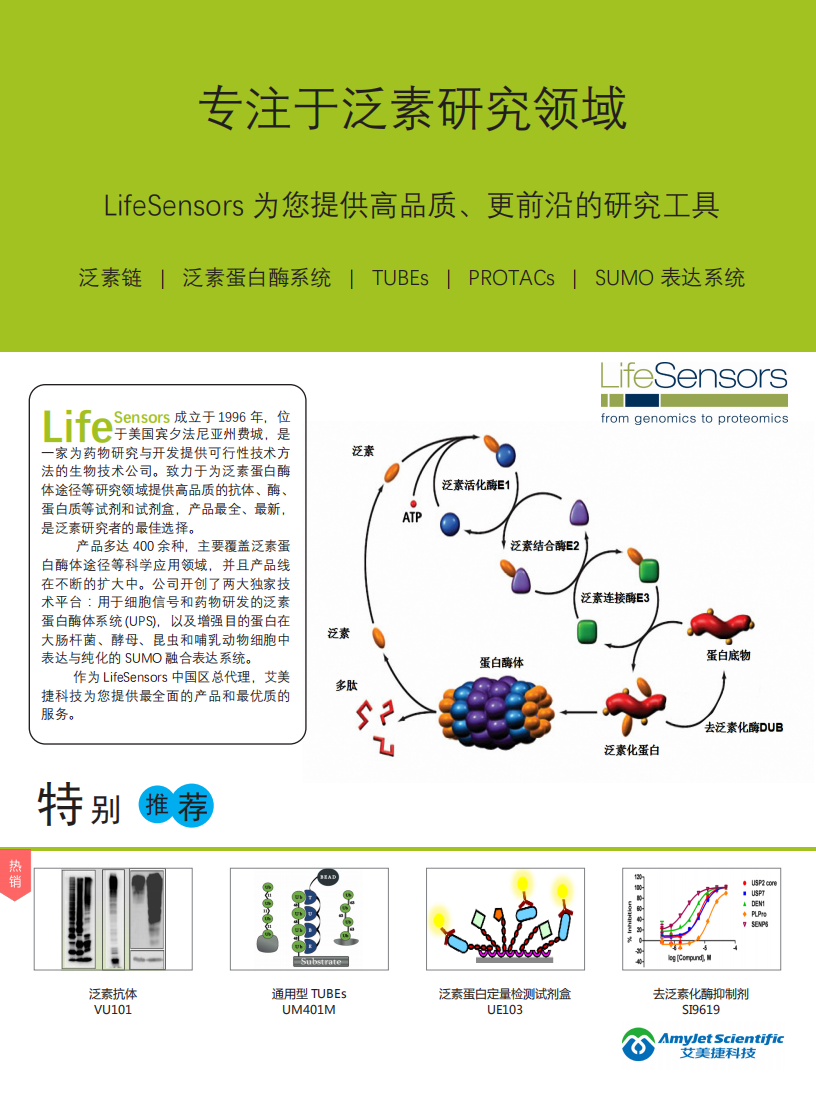 全套泛素研究解決方案-Lifesensors-折頁(yè)_00.png