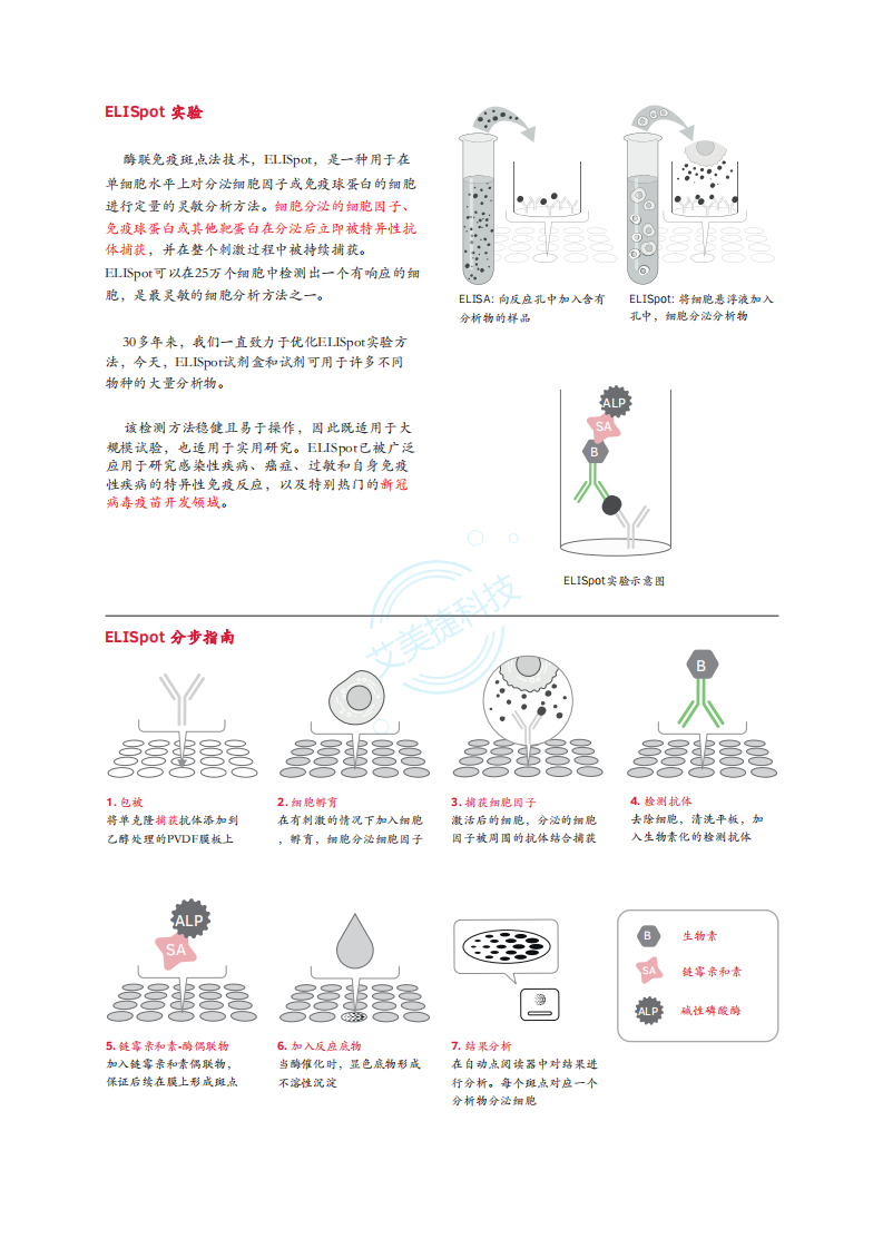 Mabtech-ELISpot-中文版折頁(yè)_01.png