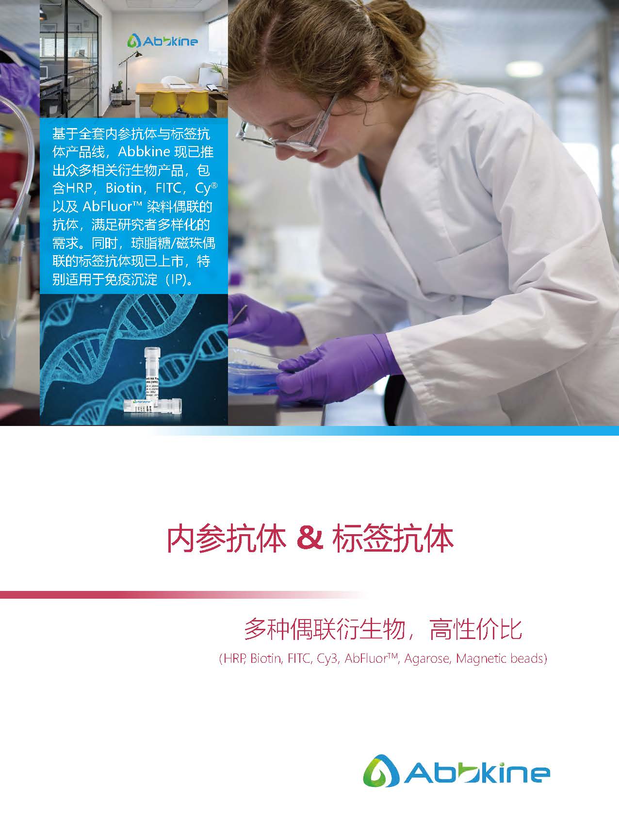 內(nèi)參抗體與標(biāo)簽抗體產(chǎn)品線-產(chǎn)品手冊(cè)