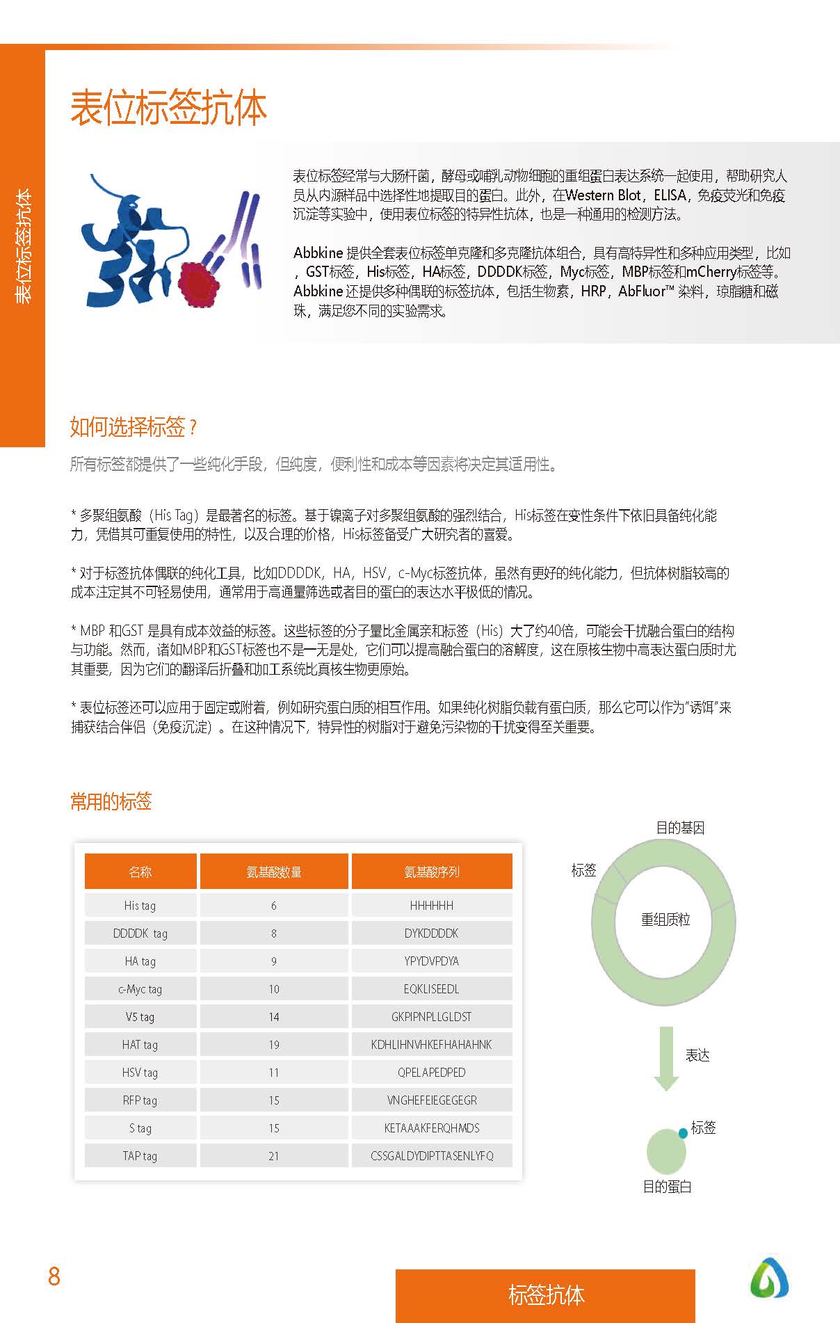 內(nèi)參抗體與標(biāo)簽抗體產(chǎn)品線-產(chǎn)品手冊(cè)
