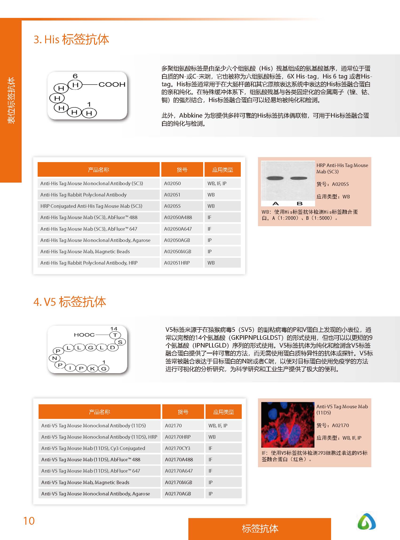 內(nèi)參抗體與標(biāo)簽抗體產(chǎn)品線-產(chǎn)品手冊(cè)