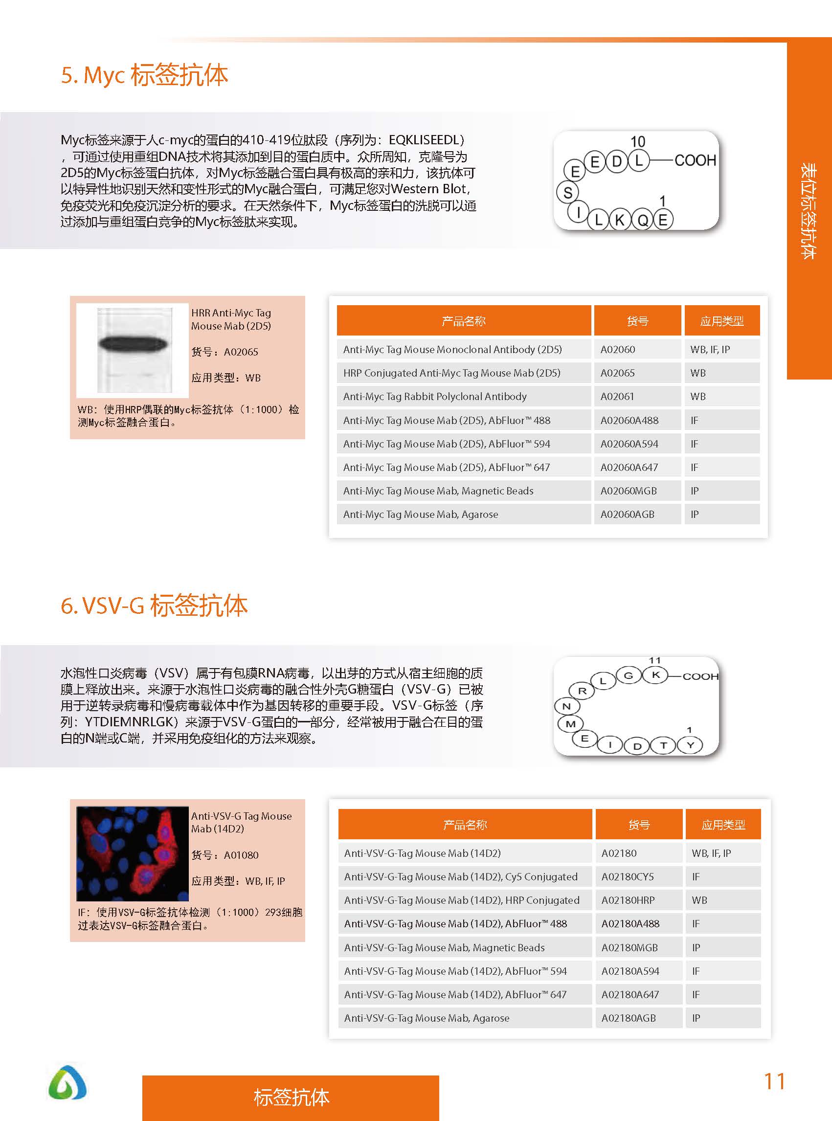 內(nèi)參抗體與標(biāo)簽抗體產(chǎn)品線-產(chǎn)品手冊(cè)