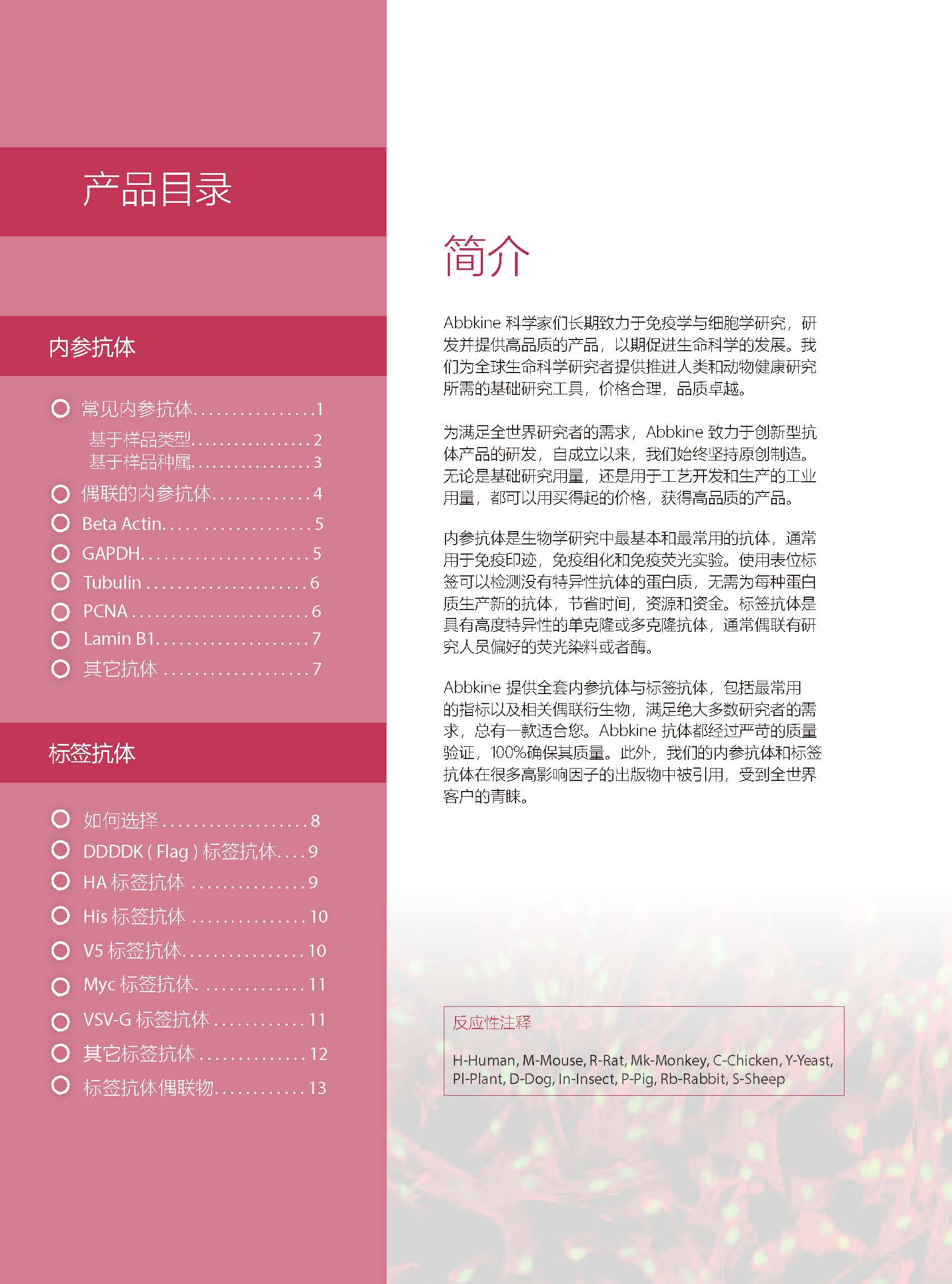 內(nèi)參抗體與標(biāo)簽抗體產(chǎn)品線-產(chǎn)品手冊(cè)