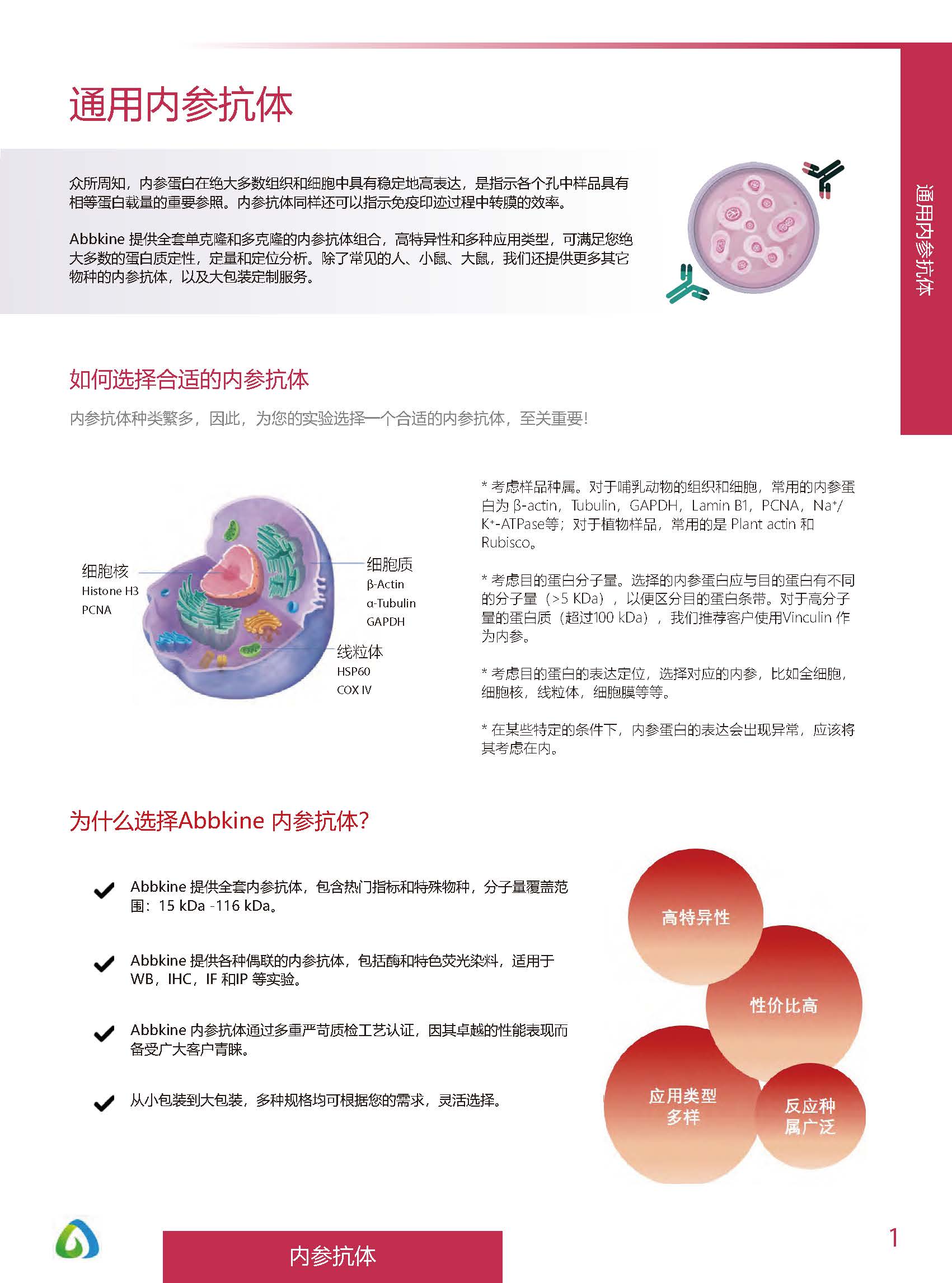 內(nèi)參抗體與標(biāo)簽抗體產(chǎn)品線-產(chǎn)品手冊(cè)