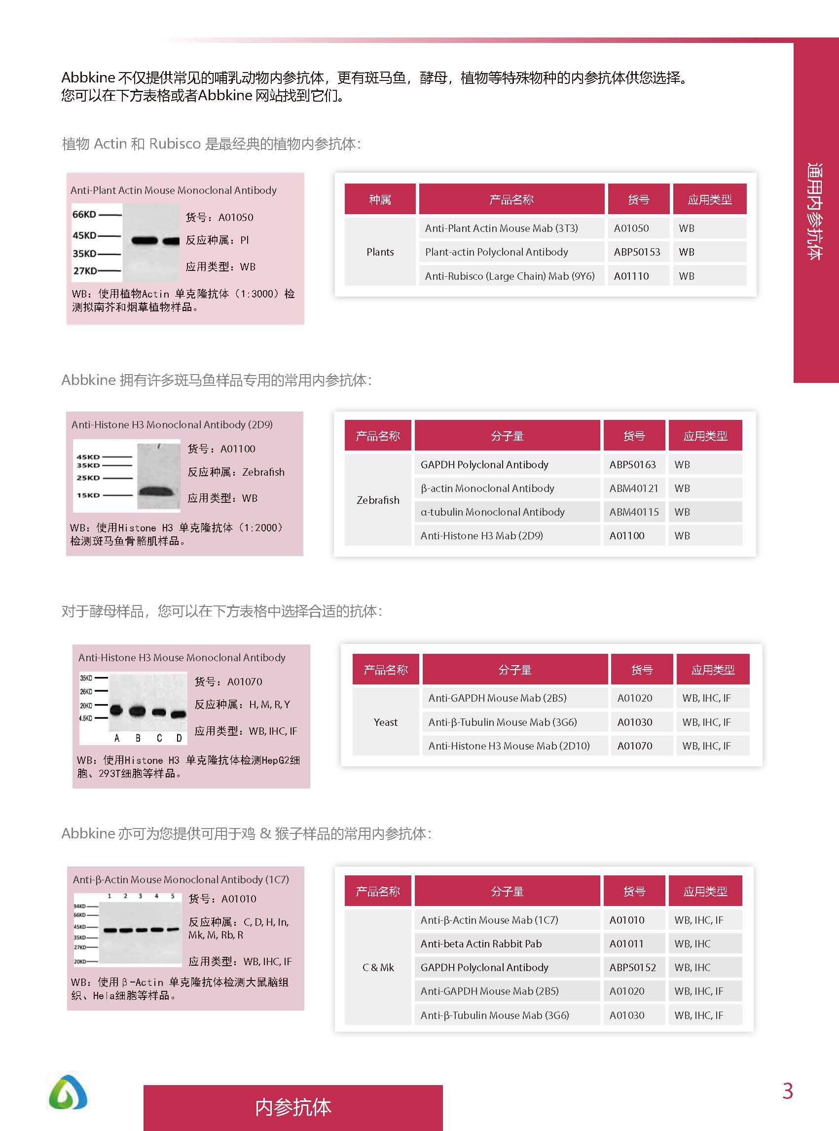內(nèi)參抗體與標(biāo)簽抗體產(chǎn)品線-產(chǎn)品手冊(cè)