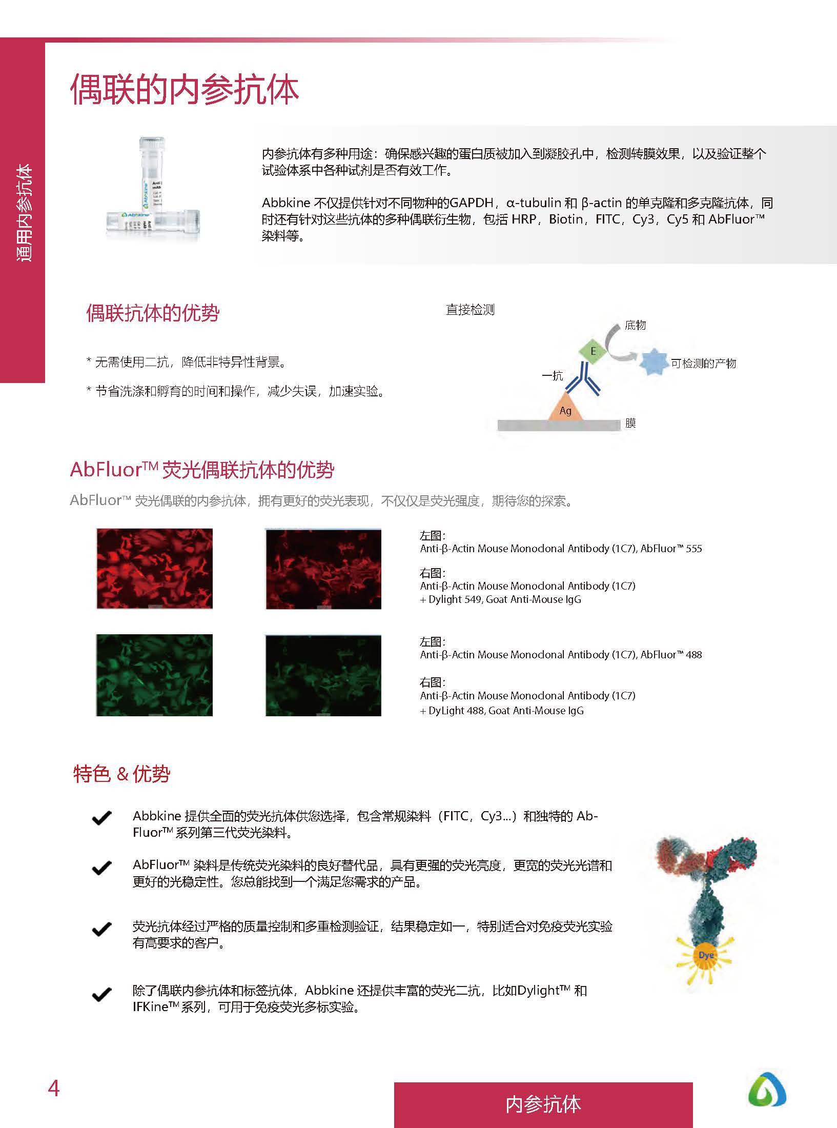 內(nèi)參抗體與標(biāo)簽抗體產(chǎn)品線-產(chǎn)品手冊(cè)