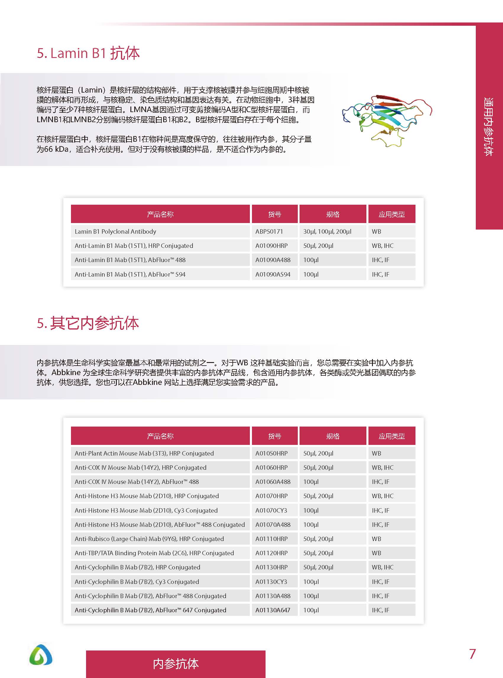 內(nèi)參抗體與標(biāo)簽抗體產(chǎn)品線-產(chǎn)品手冊(cè)