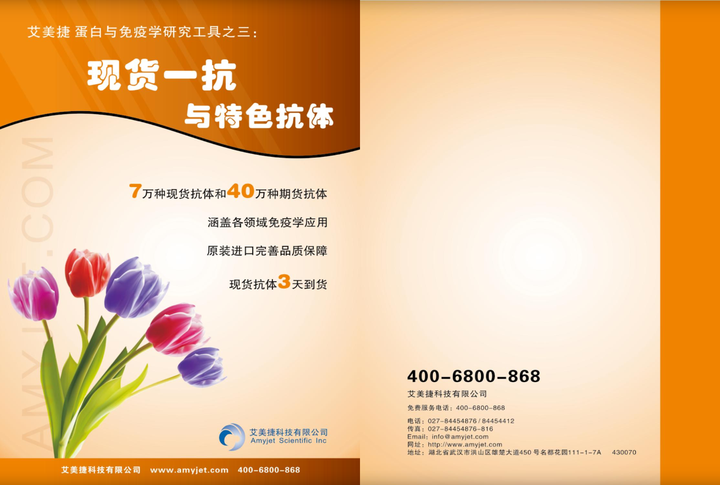 現(xiàn)貨一抗與特色抗體手冊