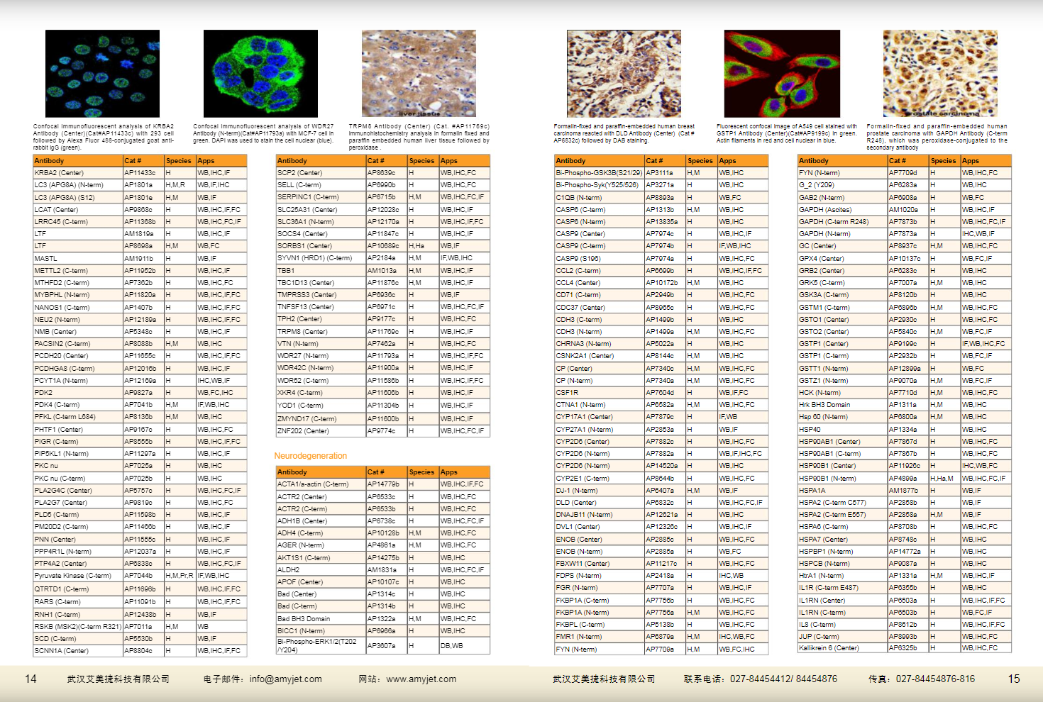 現(xiàn)貨一抗與特色抗體手冊