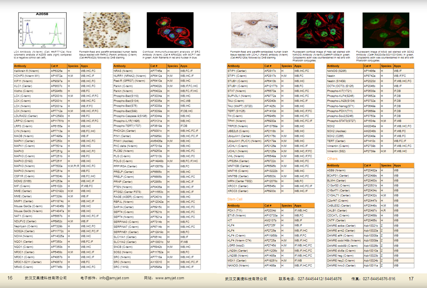 現(xiàn)貨一抗與特色抗體手冊