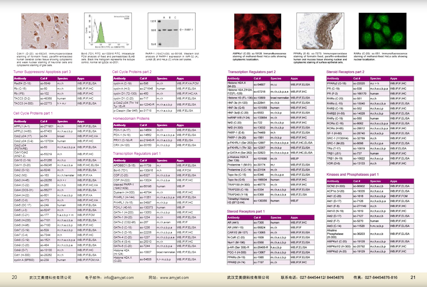 現(xiàn)貨一抗與特色抗體手冊