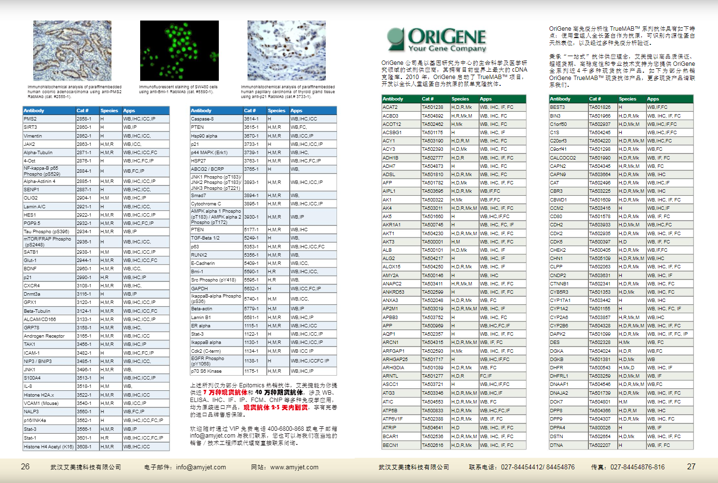 現(xiàn)貨一抗與特色抗體手冊