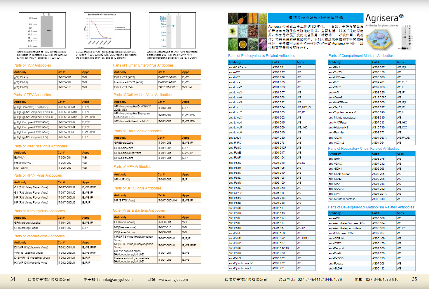 現(xiàn)貨一抗與特色抗體手冊