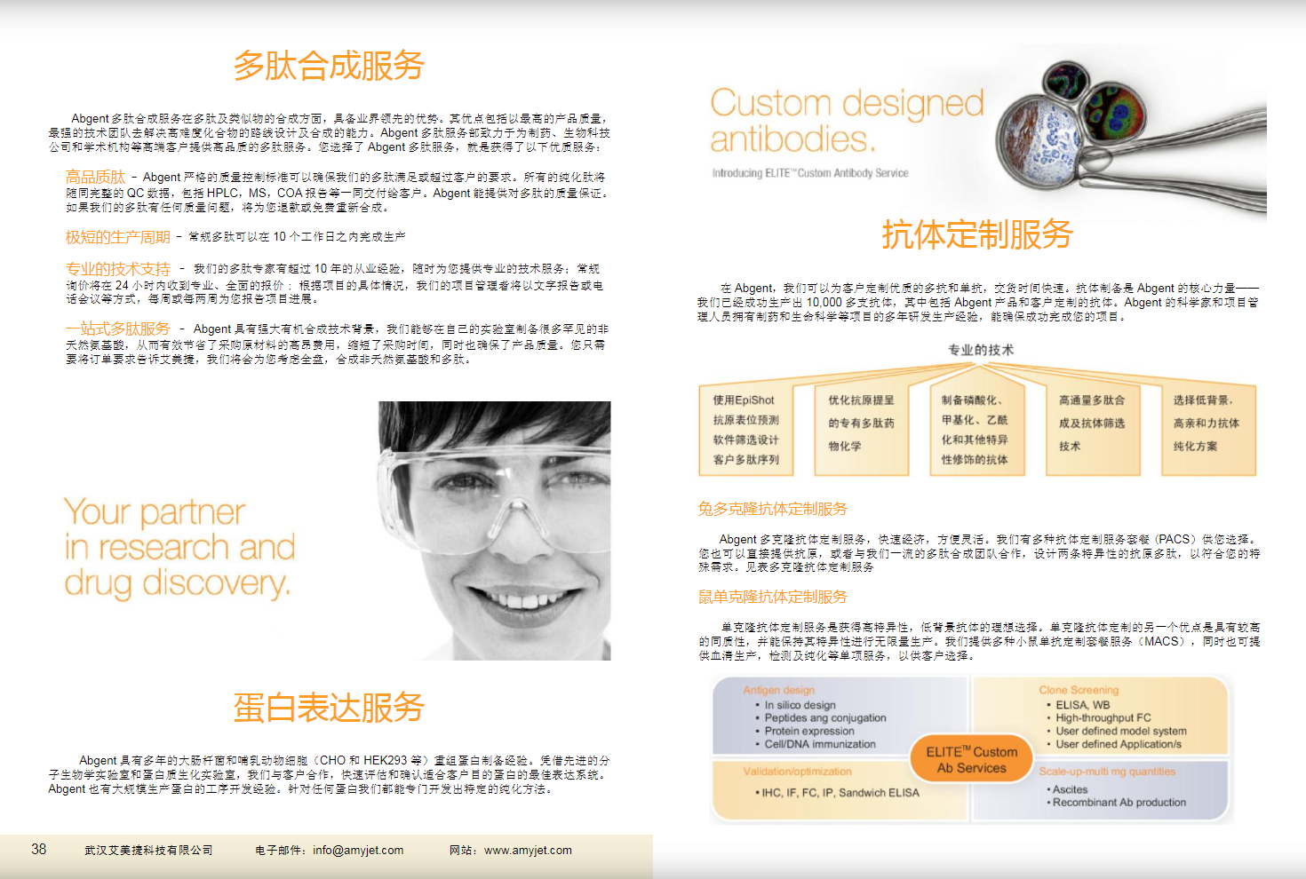 現(xiàn)貨一抗與特色抗體手冊