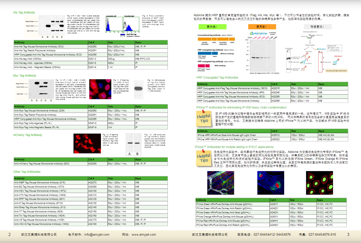 現(xiàn)貨一抗與特色抗體手冊