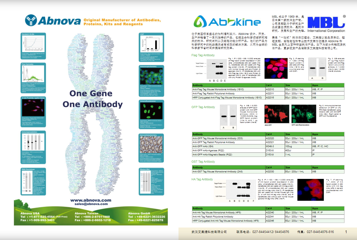 現(xiàn)貨一抗與特色抗體手冊