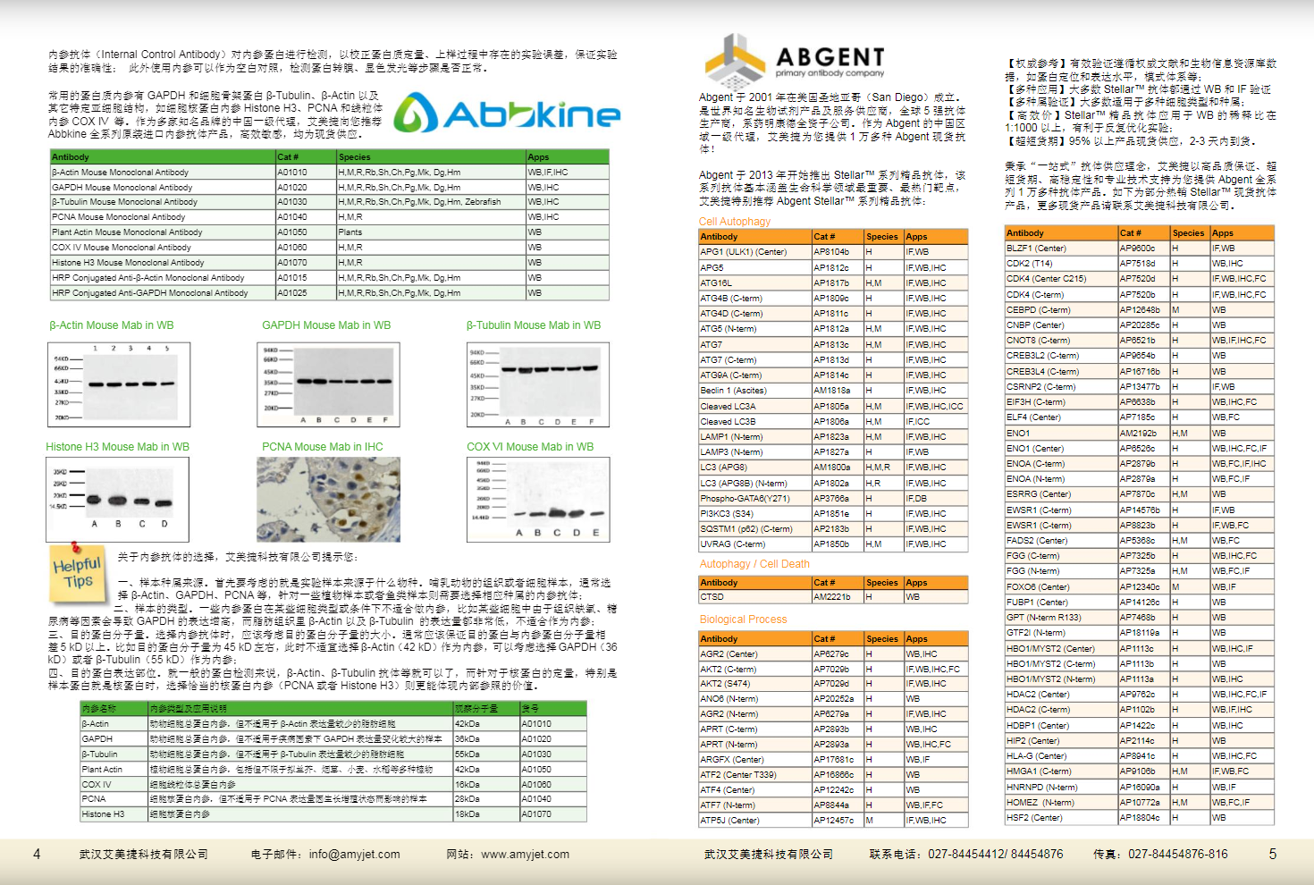 現(xiàn)貨一抗與特色抗體手冊