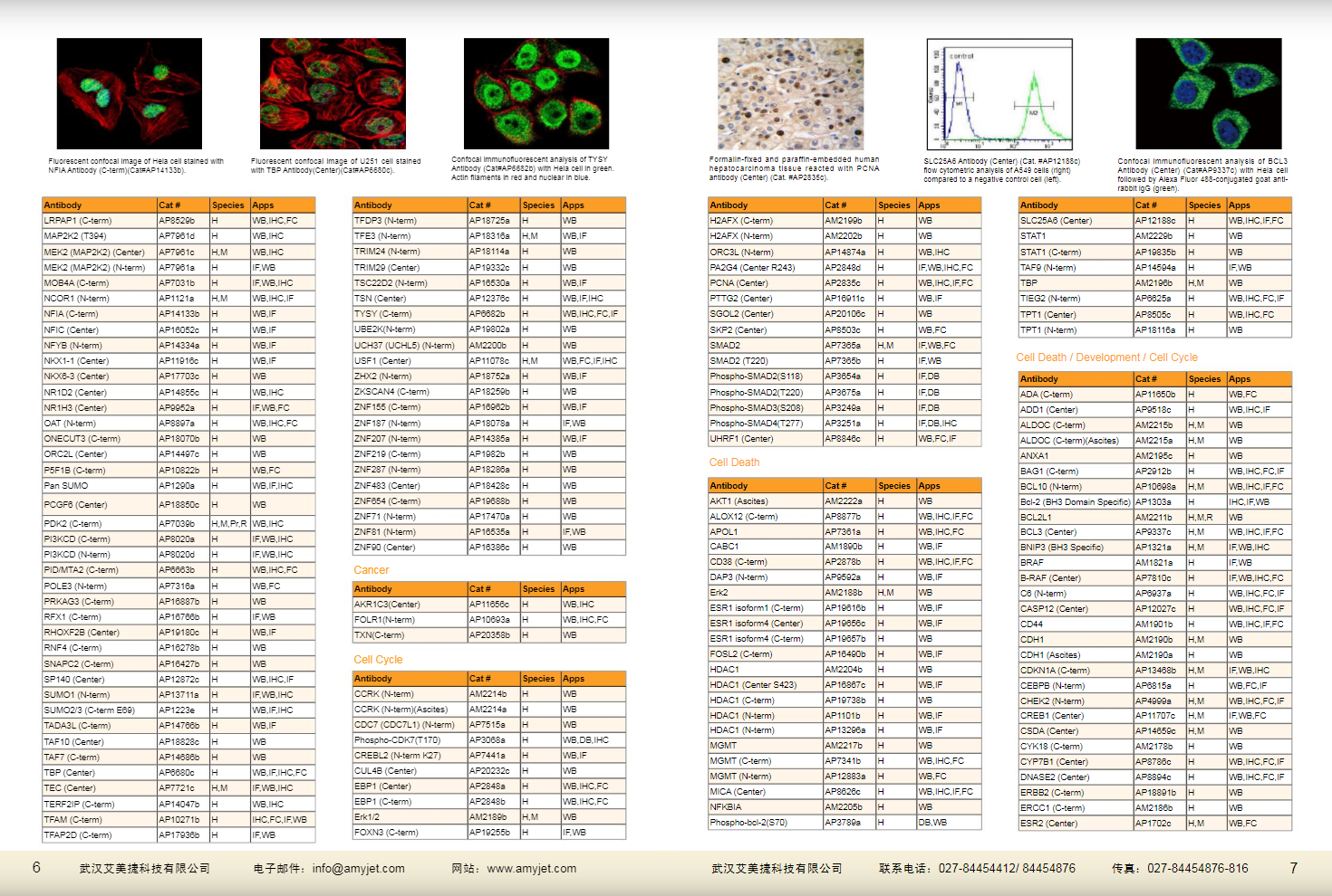 現(xiàn)貨一抗與特色抗體手冊
