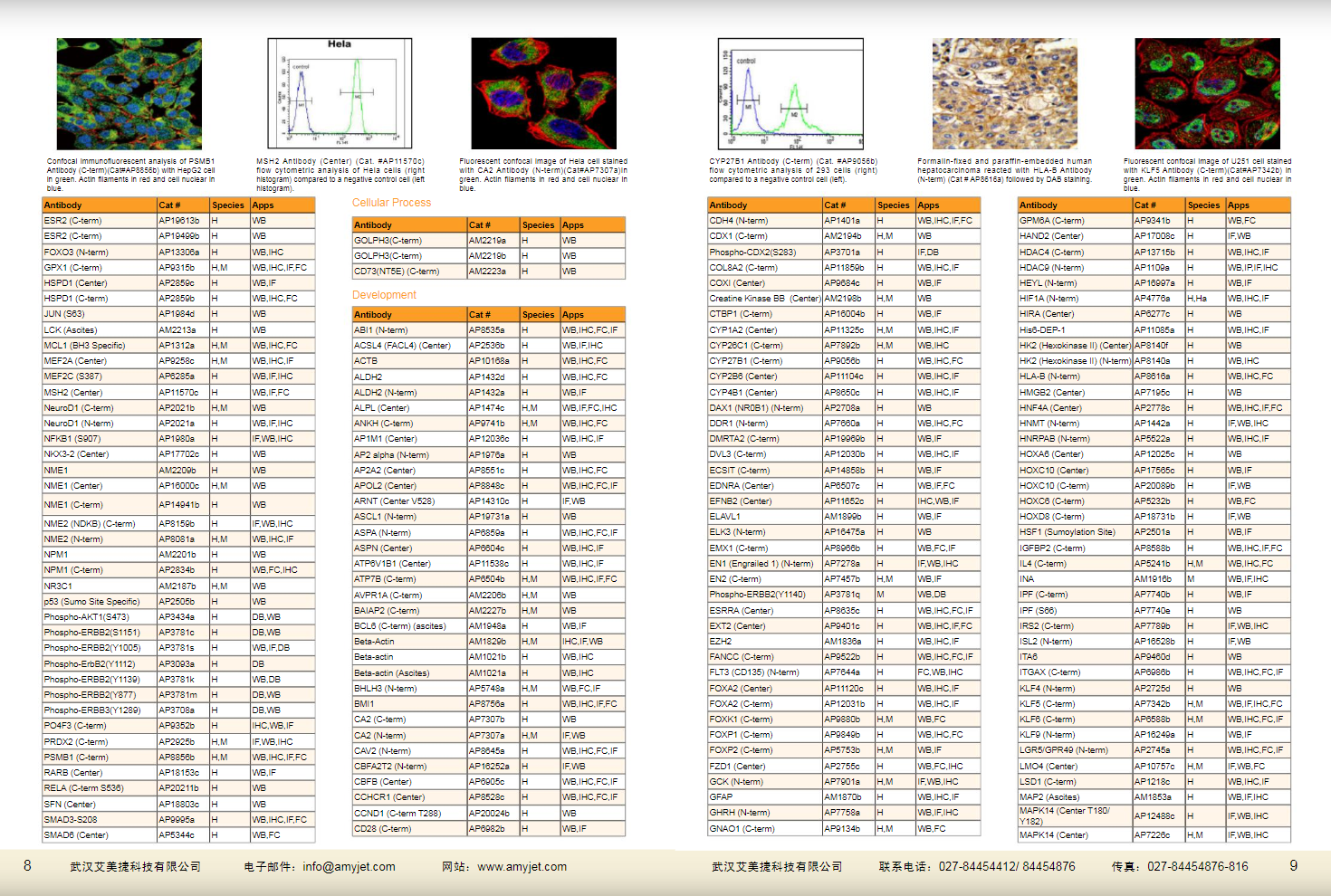 現(xiàn)貨一抗與特色抗體手冊