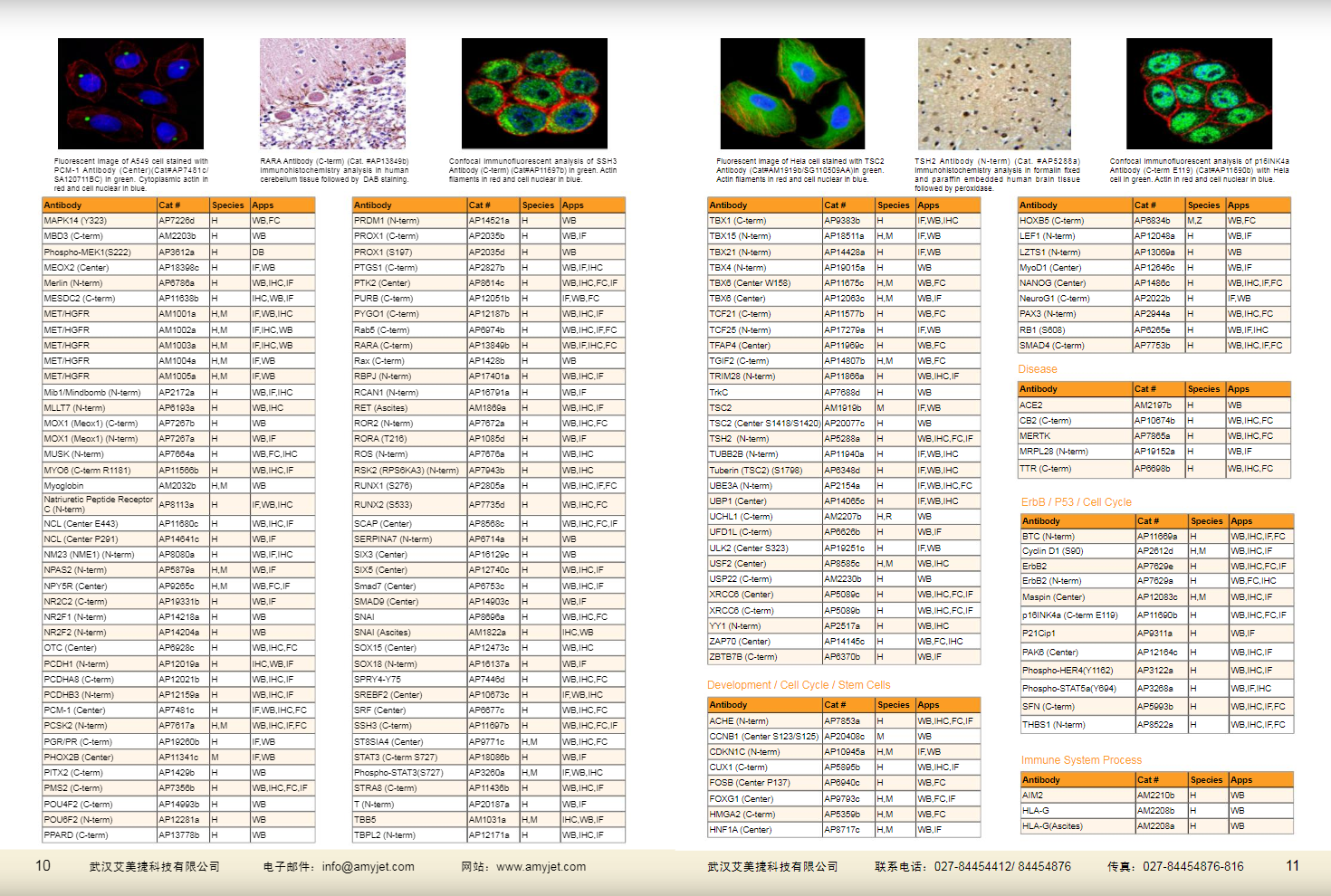現(xiàn)貨一抗與特色抗體手冊