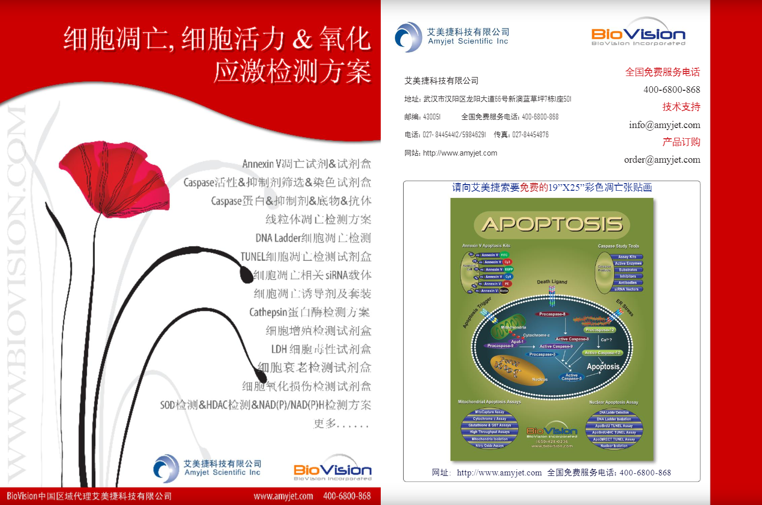 細(xì)胞凋亡&活力&氧化應(yīng)激檢測(cè)方案