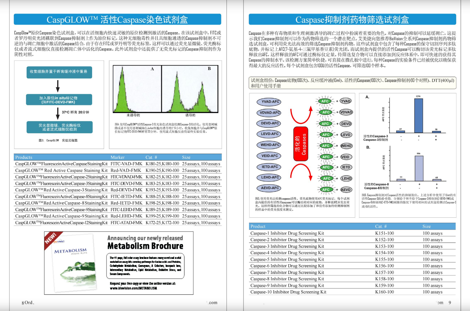 細(xì)胞凋亡&活力&氧化應(yīng)激檢測(cè)方案