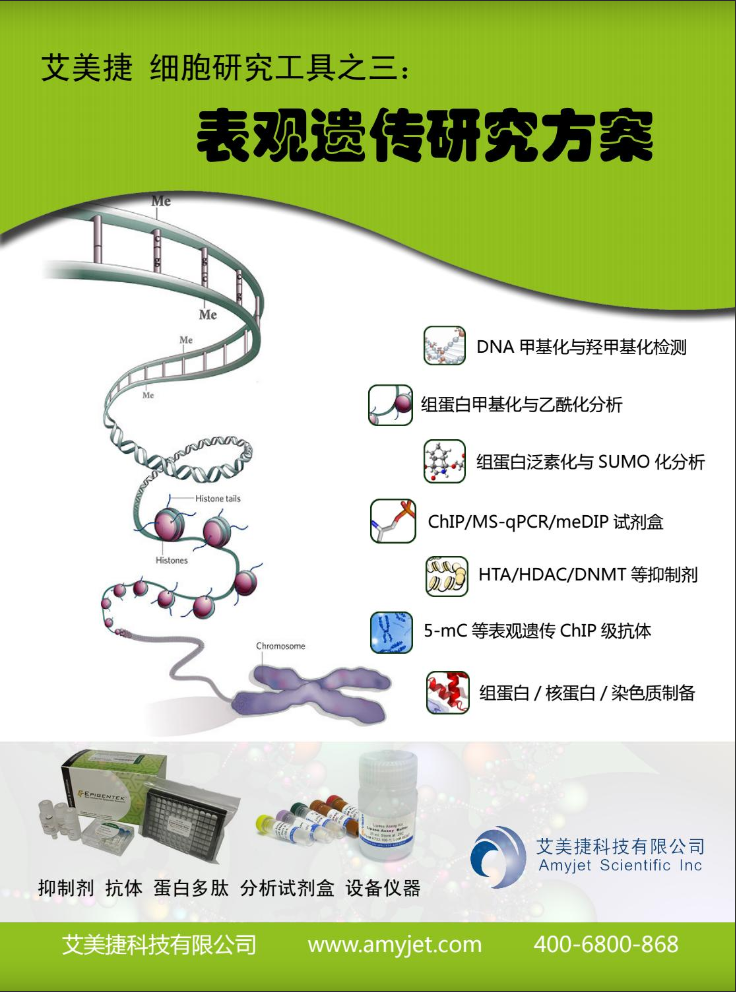 表觀遺傳研究方案產(chǎn)品折頁